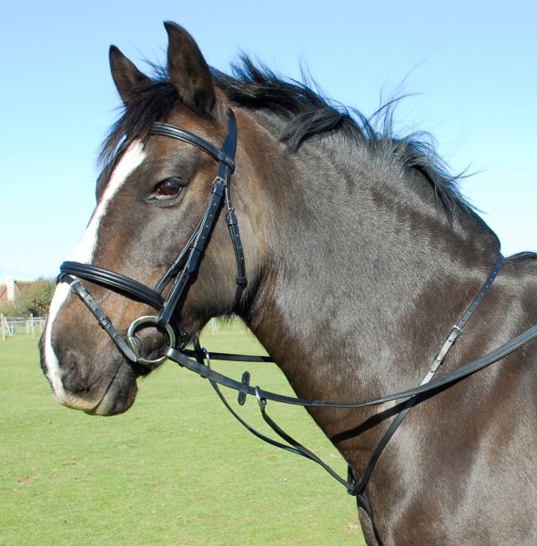 Heritage Saddlery English Leather Running Martingale